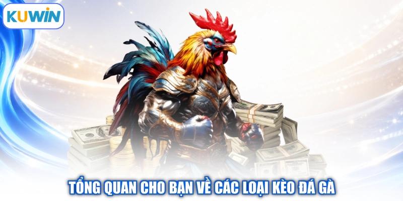 Tổng quan cho bạn về các loại kèo đá gà